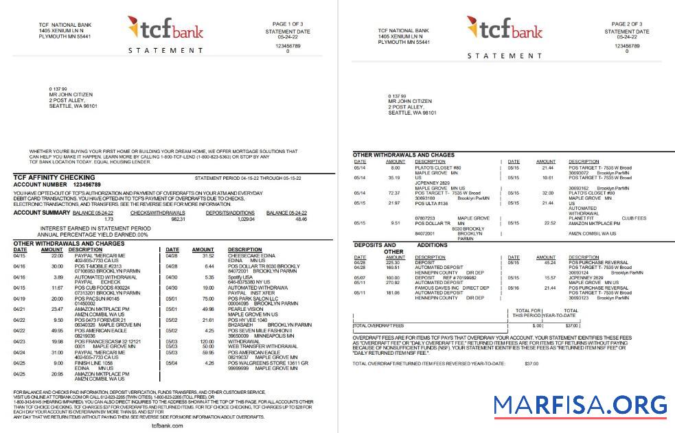Printable USA TCF bank statement word 3 pages real example